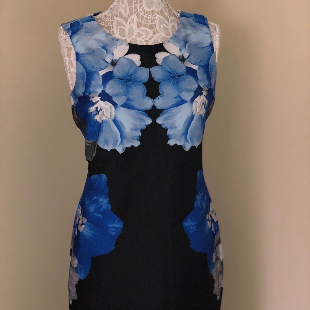 Calvin Klein Dress